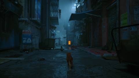 Exploring a city in Stray