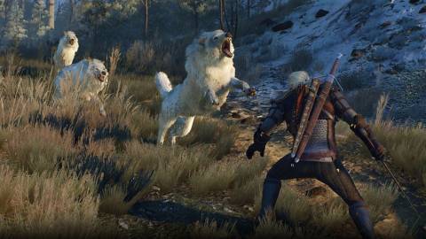 Geralt fighting some wolves - The Witcher 3 Wild Hunt
