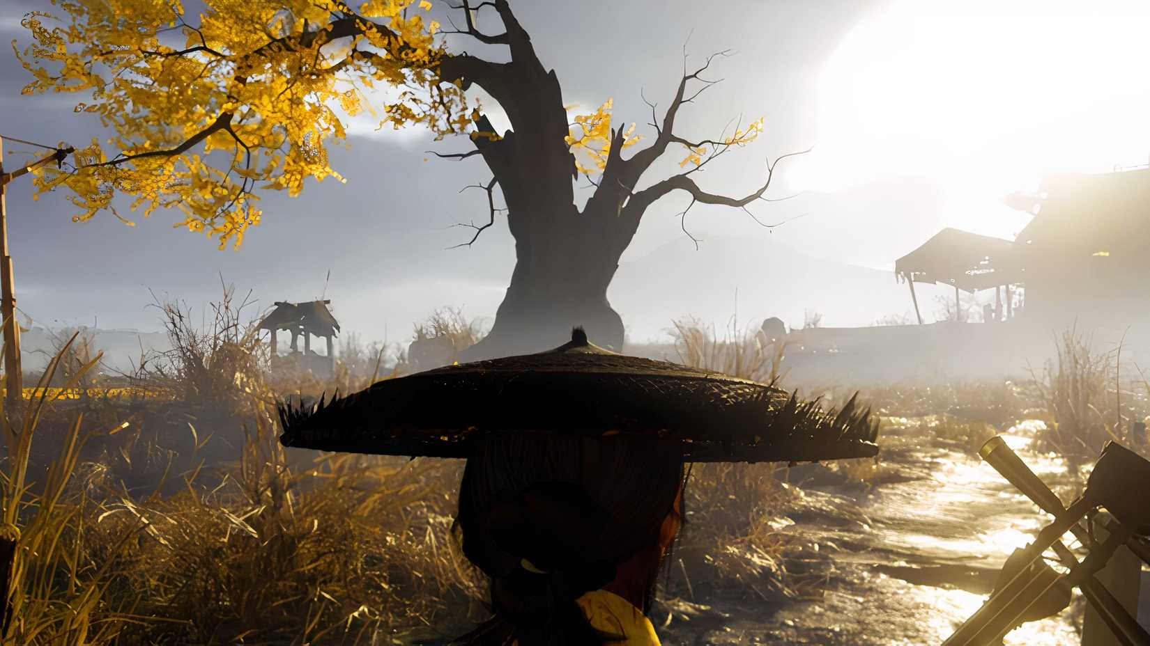 The Meaning Behind Ghost of Yotei’s Ginkgo Tree Has Deeper Roots Than ...