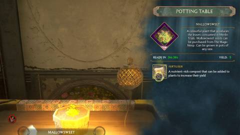 how to plant mallowsweet in hogwarts legacy