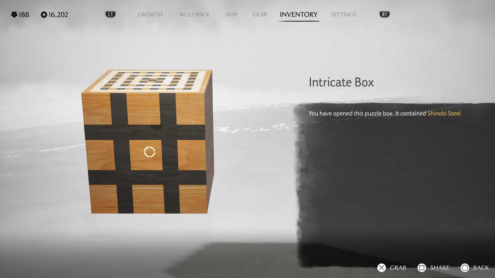 Intricate Box
