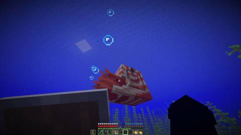 nautilus mob minecraft