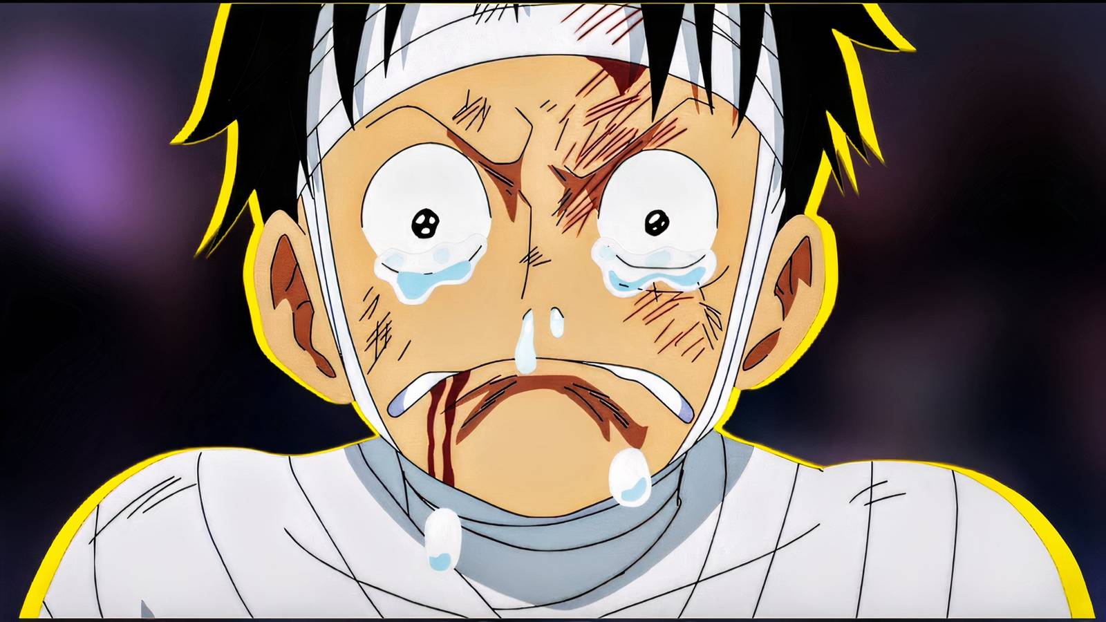 One Piece Luffy Surpassed Pirate