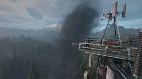Overlooking a forest in Days Gone