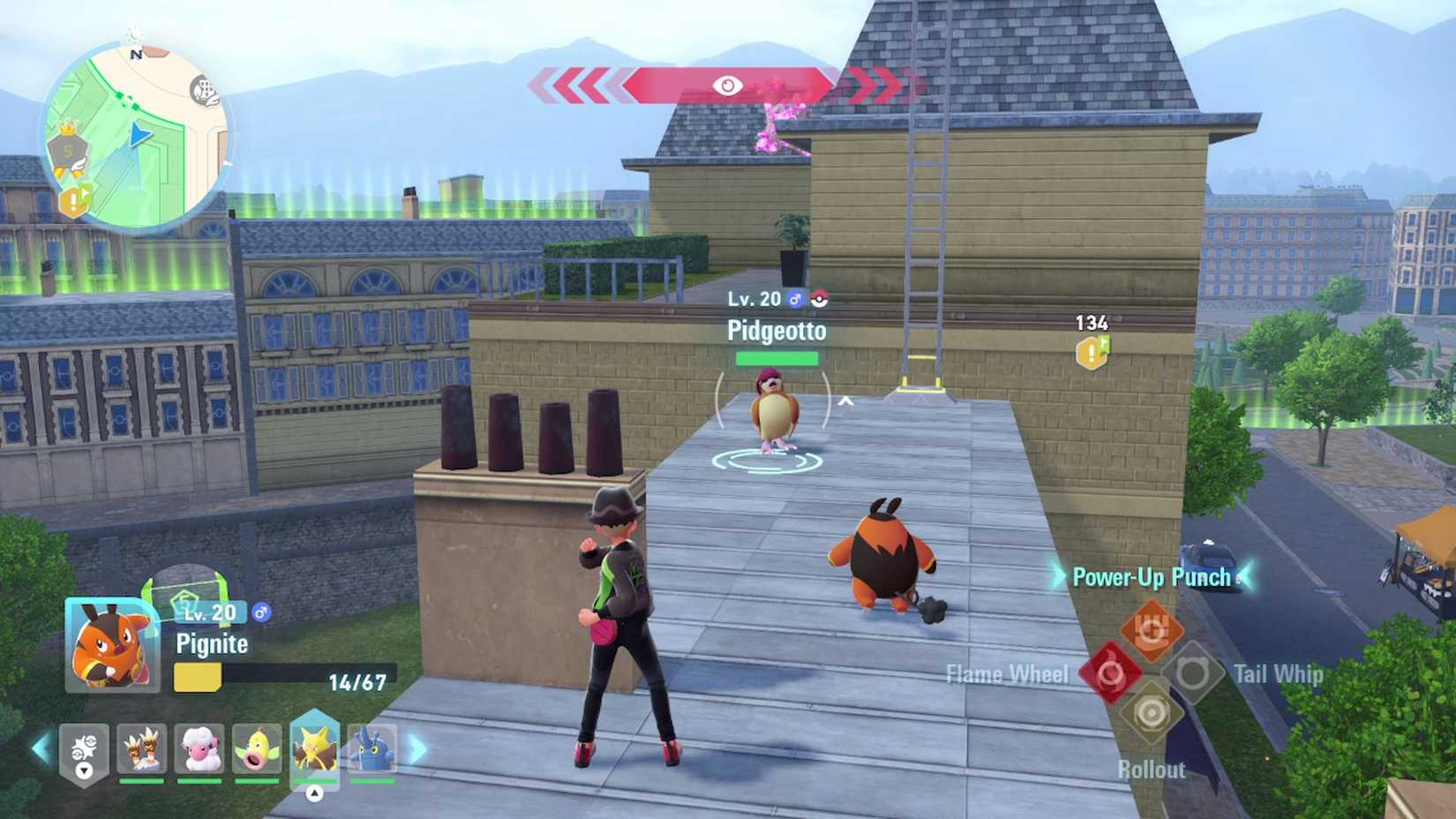 pidgeotto location in wild zone 5 in pokemon legends za