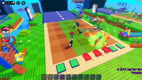 Plants vs. Brainrots player