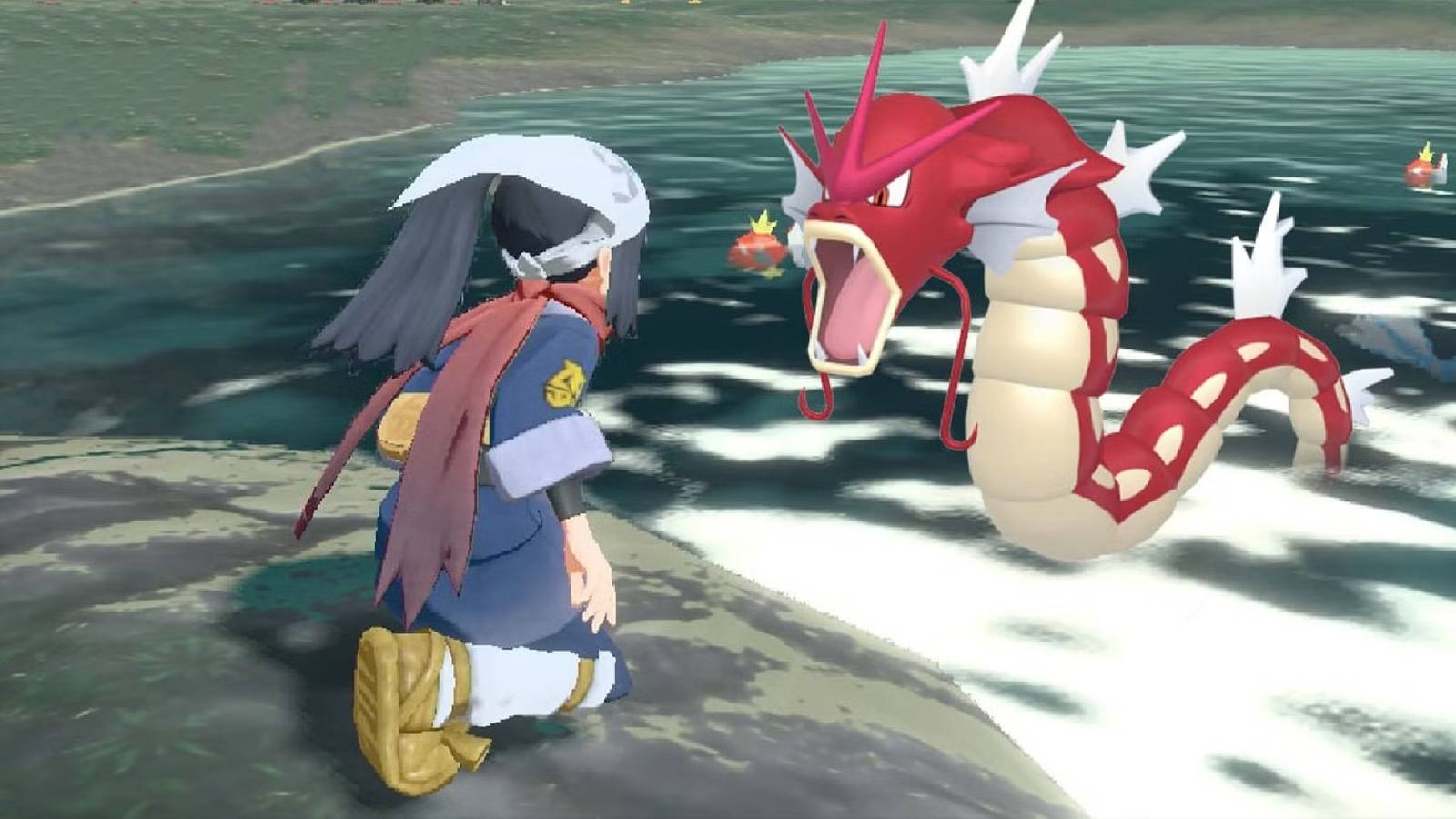 Pokémon Kirts ARCES SHINES GREADOS