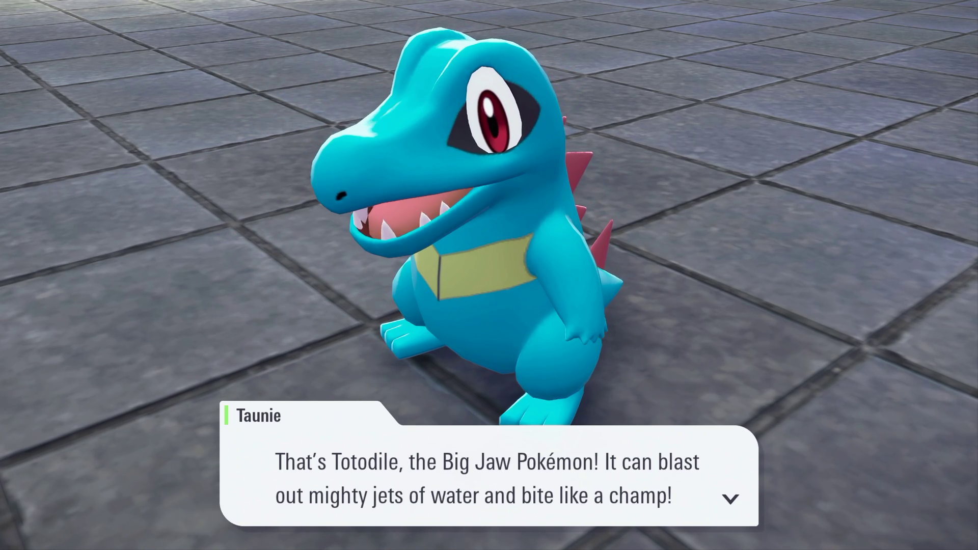 Chikorita Tepig Totodile Shiny Bundle Starters Pokémon Legends: Z-A ZA PLZA Chikorita Tepig Totodile Shiny Bundle Starters Pokémon Legends: Z-A ZA PLZA