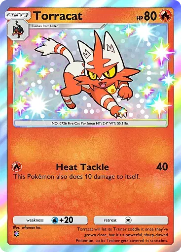 pokemon-tcg-pocket-b1294-torracat
