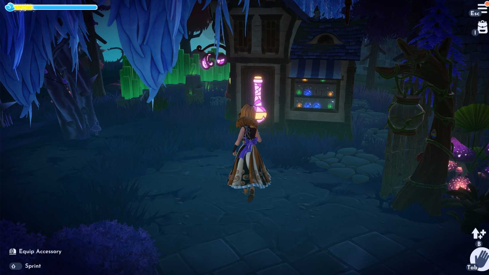 Potion Brewer's House in ddv disney dreamlight valley