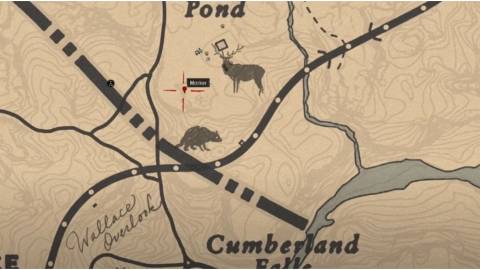 Red Dead Redemption 2 Guaranteed Eagle Spawn Point