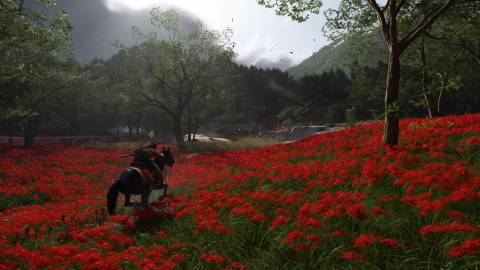 Riding a horse in a red flower field in Ghost of Yotei