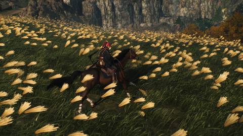 Riding a horse in Rise Of The Ronin