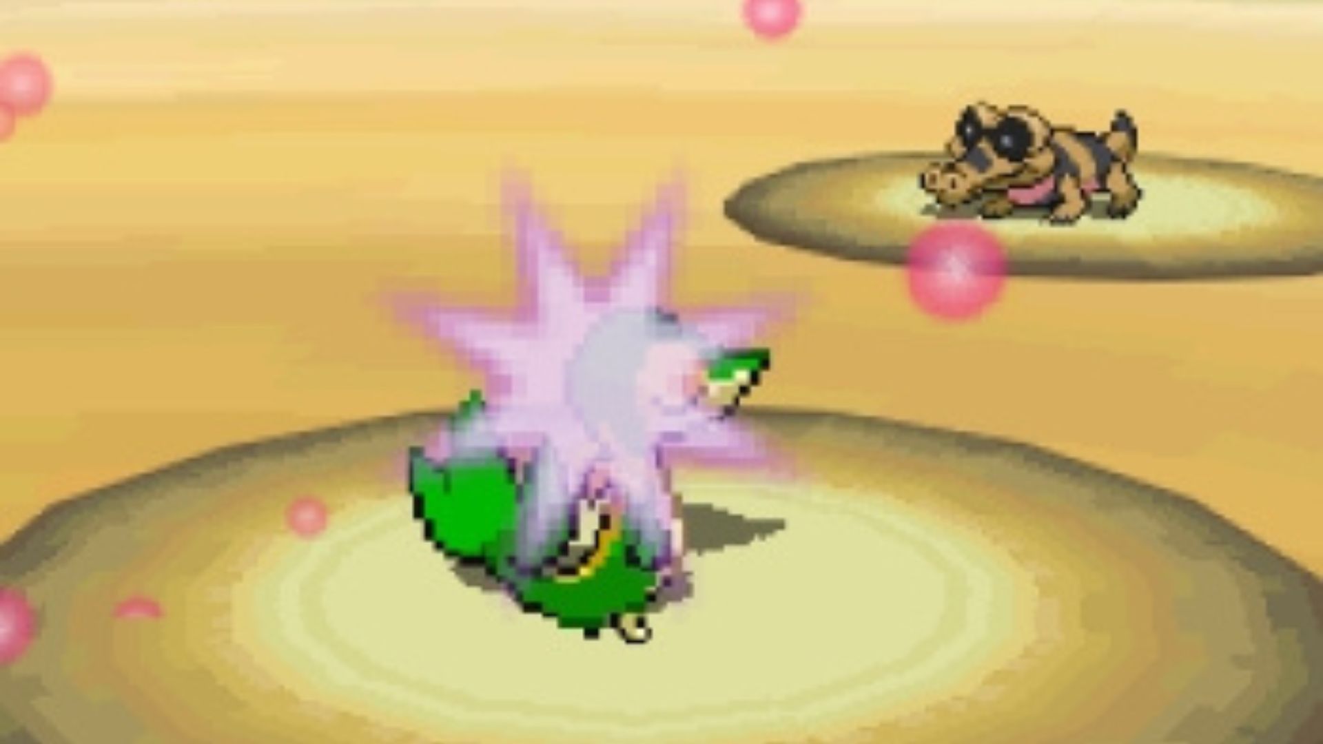 Snivy fighting a Wild Sandile - Pokemon Black And White