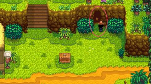 stardew valley ginger island frog cave location
