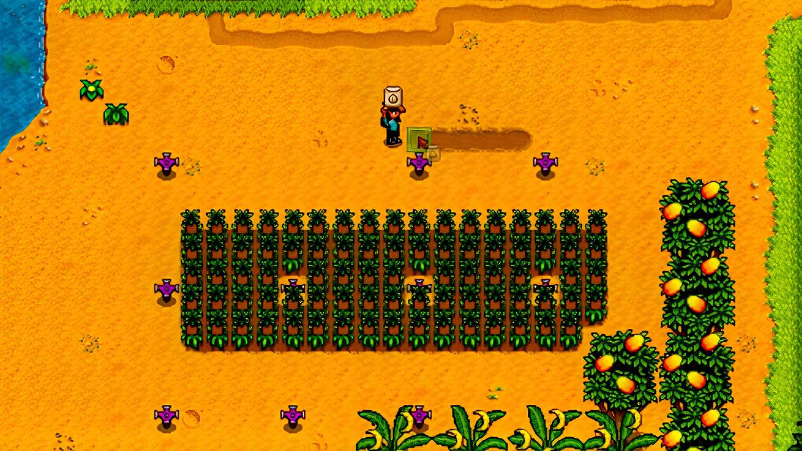 stardew valley growing ginger island garlic