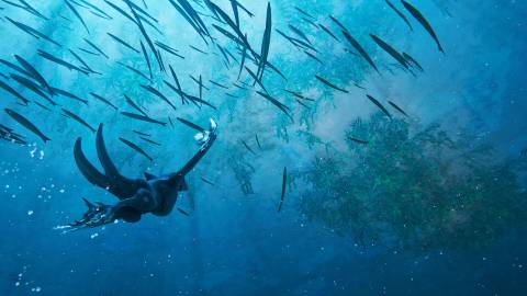 Swimming in Glaciered