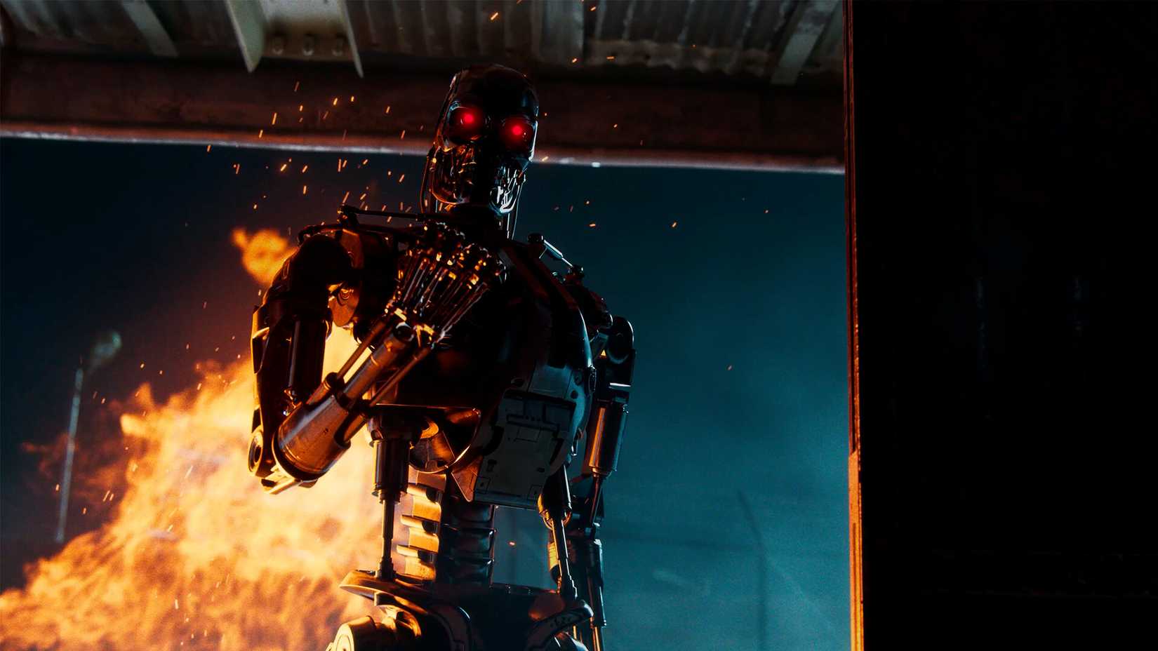Terminator Survivors terminator