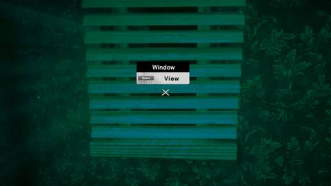 the blind with the baby