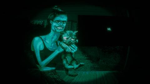 the cat lady and the cat