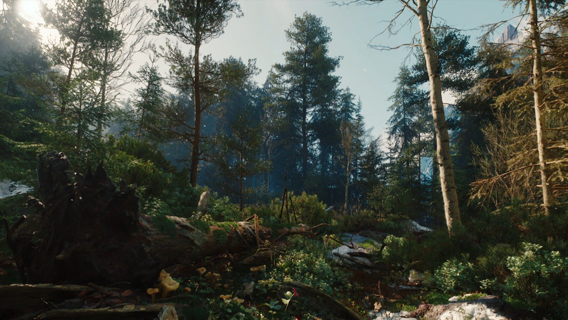 The Witcher 4 Unreal Engine Environments