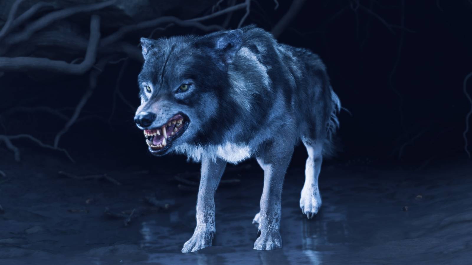 the wolf in ghost of yotei