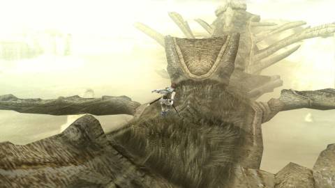 Wander climbing through the back of a giant flying colossus - Shadow Of The Colossus