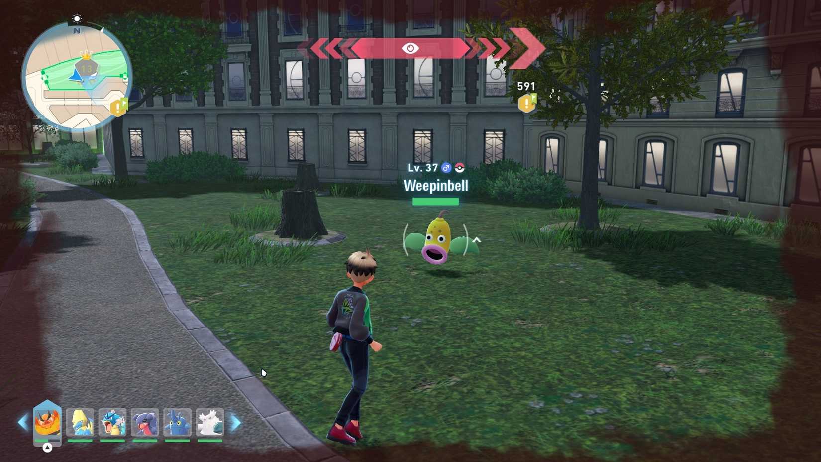 weepinbell in wild zone 13 in pokemon legends for