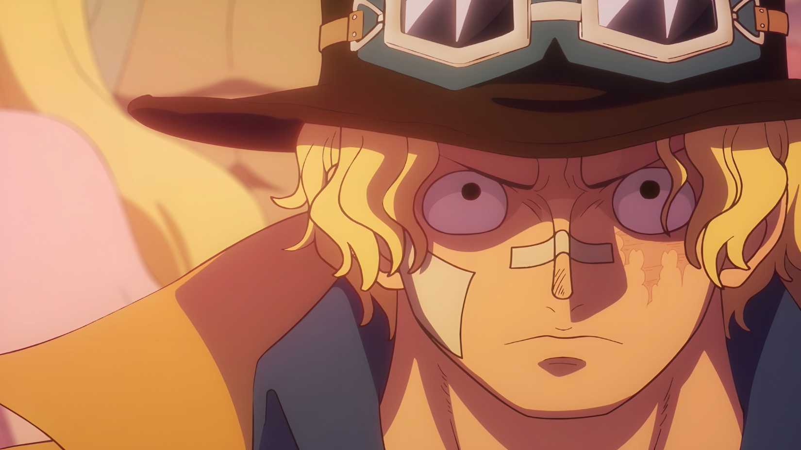 Sabo from One Piece 