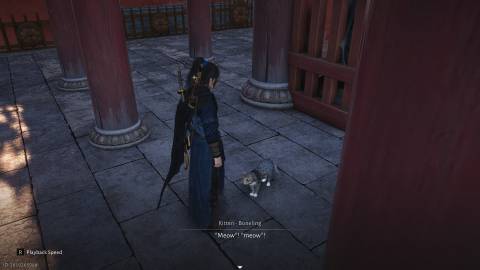 WWM Peting Cat Grants Elegance Points