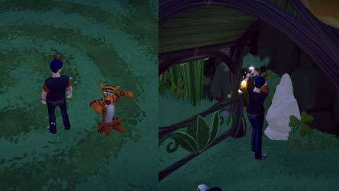 a honey of a problem ddv 