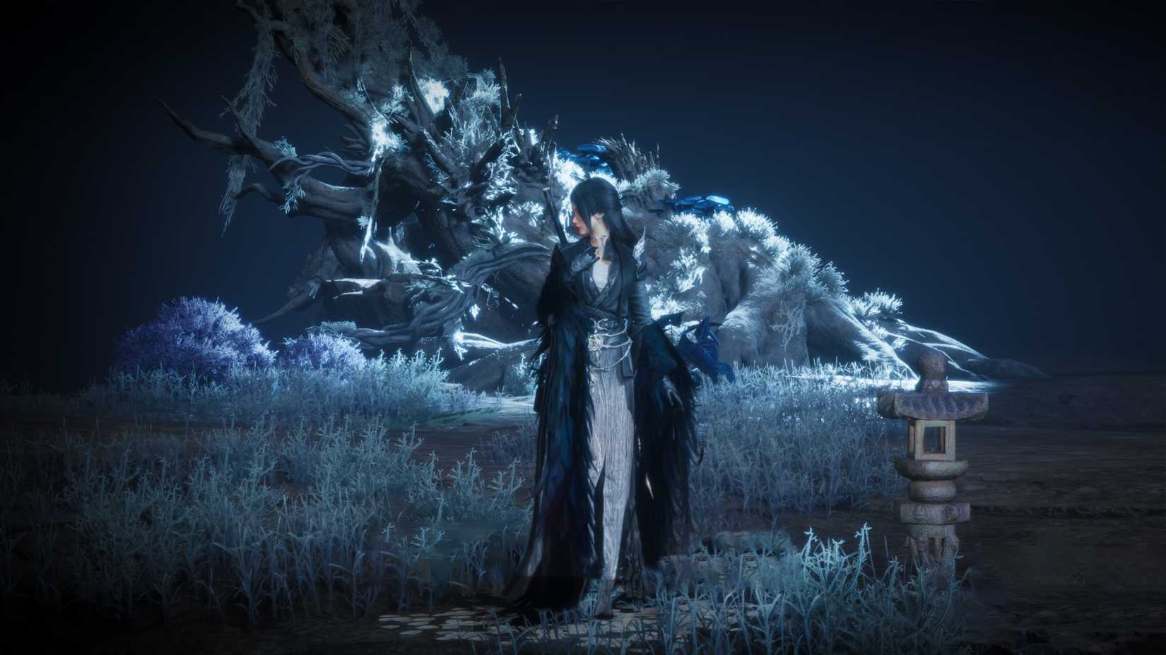 all free outfits in wwm where winds meet