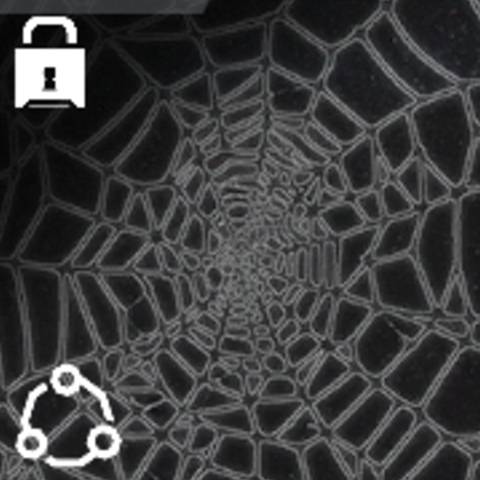 Arachnid Camo in Black Ops 7