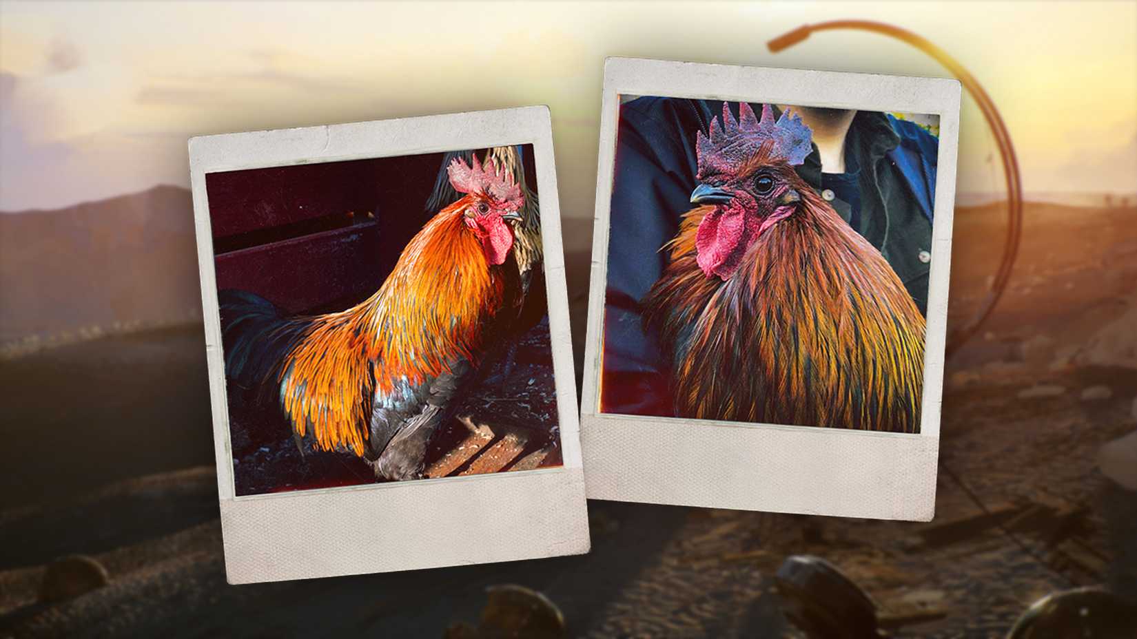 ARC Raiders Scrappy Hakan