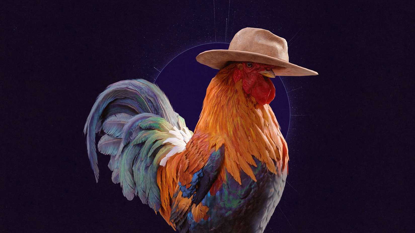 arc raiders scrappy rooster lore backstory explained