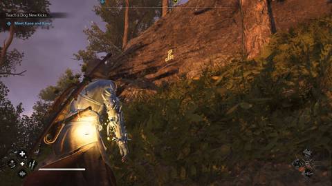 Assassin's Creed Shadows Strange Door Glyph of the Mists