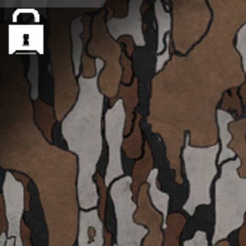 Cedar Camo in Black Ops 7