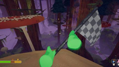 checkpoint flags peak