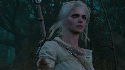 Ciri in The Witcher 3 Wild Hunt