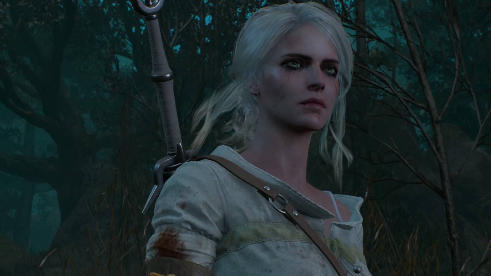 Ciri in The Witcher 3 Wild Hunt