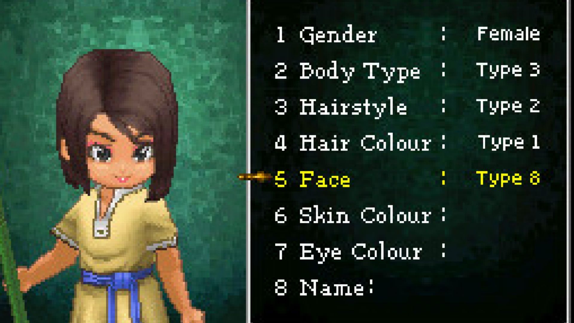 Customizing a character  in Dragon Quest 9 Sentinels of the Starry Skies