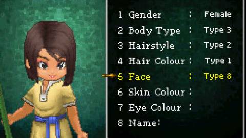 Customizing a character  in Dragon Quest 9 Sentinels of the Starry Skies