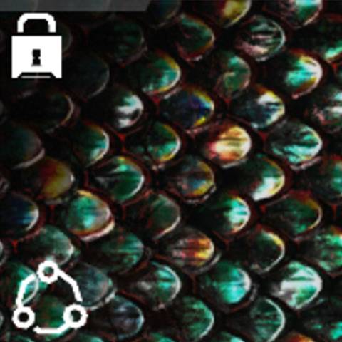 Dragon Camo in Black Ops 7