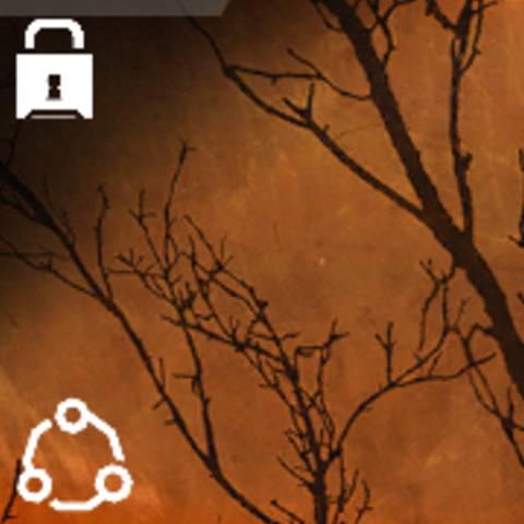 Equinox Camo in Black Ops 7