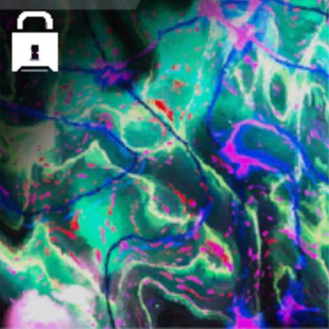 Genesis Camo in Black Ops 7