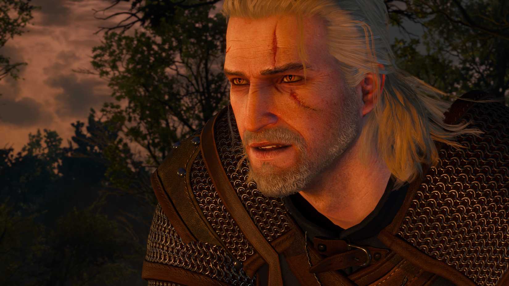 Geralt in the game The Witcher 3 Wild Hunt-1