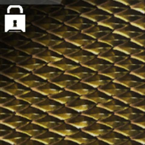 Golden Dragon Camo in Black Ops 7