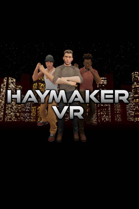 Haymaker VR Tag Page Cover Art