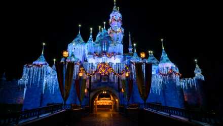 Disneyland vacation review