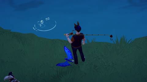 honey coral location ddv